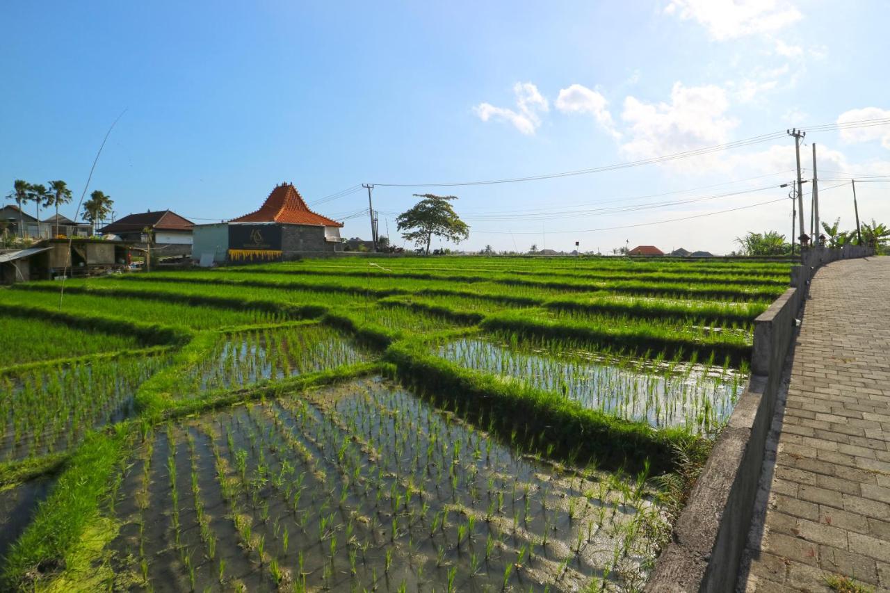 Pererenan Nengah Guest House Canggu 외부 사진